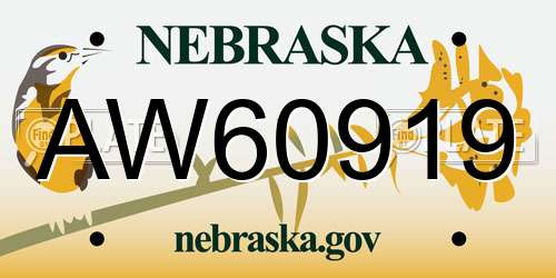 AW60919 Nebraska License Plate