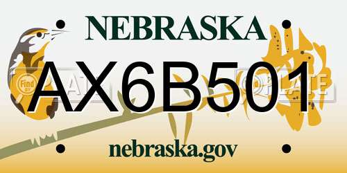 AX6B501 Nebraska License Plate
