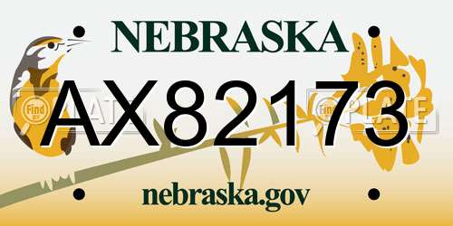AX82173 Nebraska License Plate