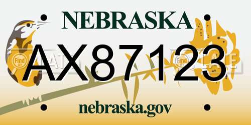 AX87123 Nebraska License Plate
