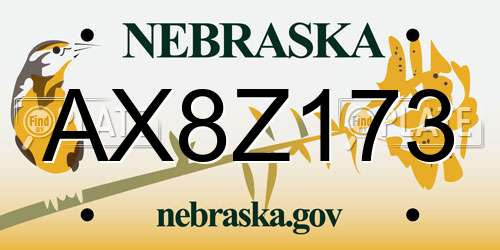 AX8Z173 Nebraska License Plate