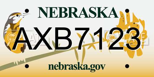 AXB7123 Nebraska License Plate