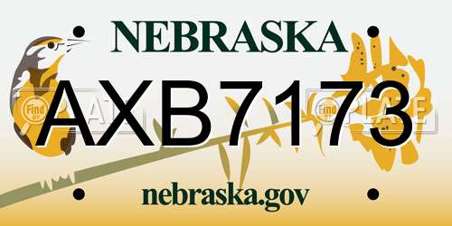 AXB7173 Nebraska License Plate