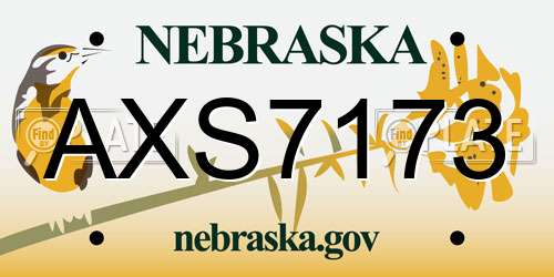 AXS7173 Nebraska License Plate
