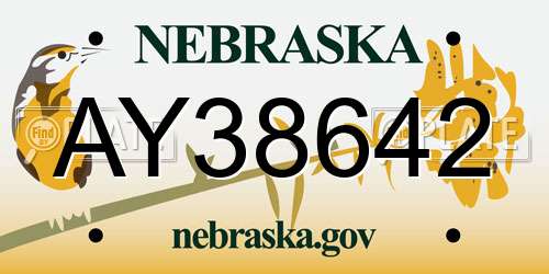 AY38642 Nebraska License Plate