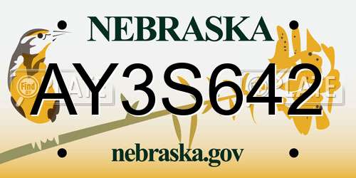 AY3S642 Nebraska License Plate