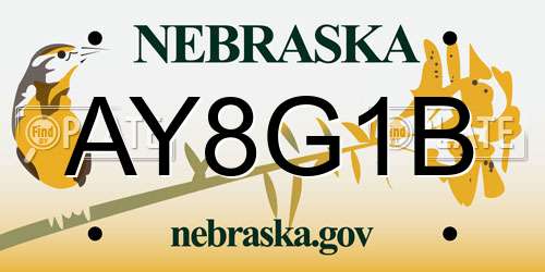 AY8G1B Nebraska License Plate