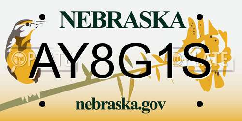 AY8G1S Nebraska License Plate