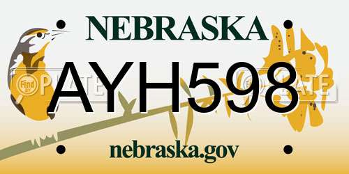 AYH598 Nebraska License Plate