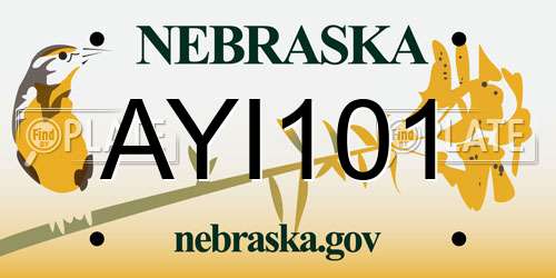 AYI101 Nebraska License Plate
