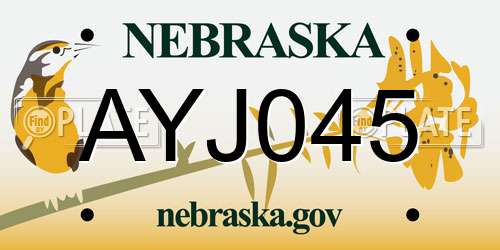 AYJ045 Nebraska License Plate