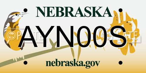 AYN00S Nebraska License Plate