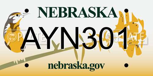 AYN301 Nebraska License Plate