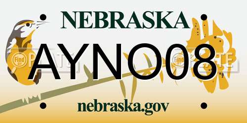 AYNO08 Nebraska License Plate