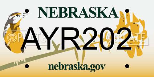 AYR202 Nebraska License Plate