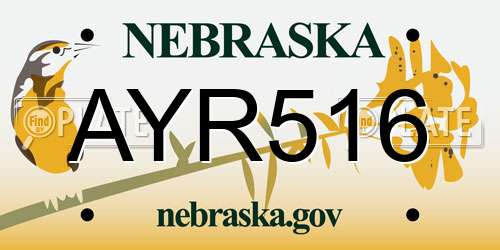 AYR516 Nebraska License Plate
