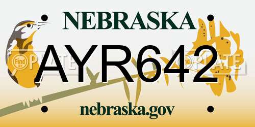 AYR642 Nebraska License Plate
