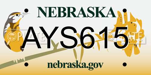 AYS615 Nebraska License Plate