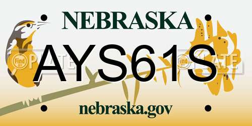 AYS61S Nebraska License Plate