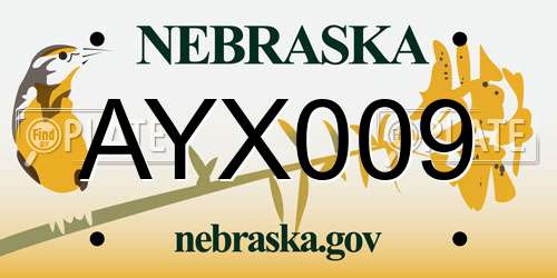 AYX009 Nebraska License Plate