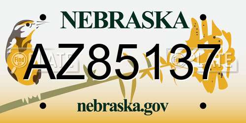 AZ85137 Nebraska License Plate