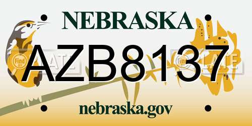 AZB8137 Nebraska License Plate