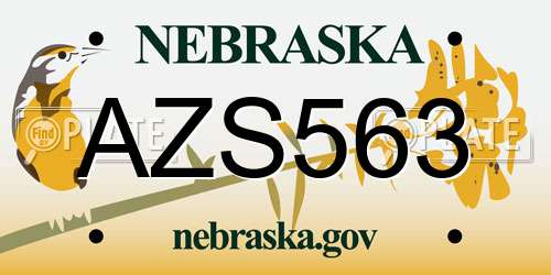 AZS563 Nebraska License Plate