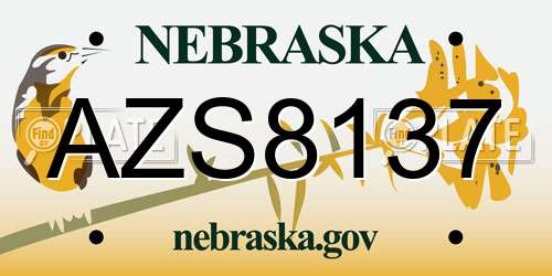 AZS8137 Nebraska License Plate