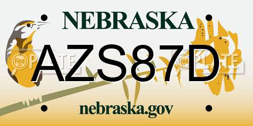 AZS87D Nebraska License Plate