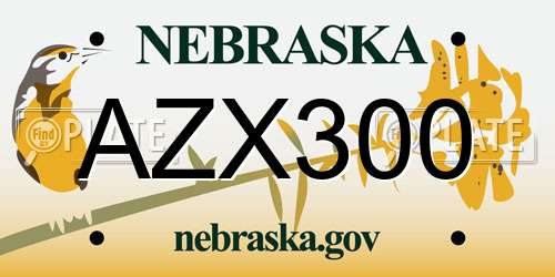 AZX300 Nebraska License Plate