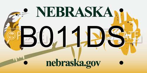 B011DS Nebraska License Plate