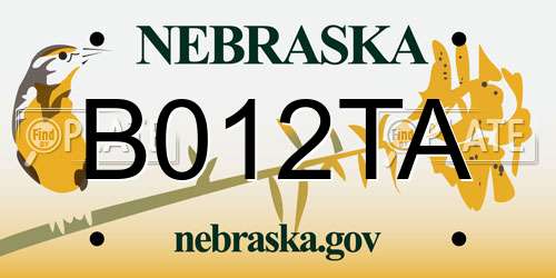 B012TA Nebraska License Plate