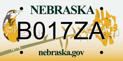 B017ZA Nebraska License Plate