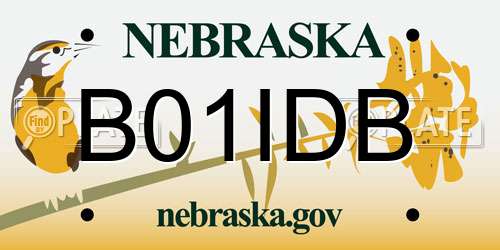 B01IDB Nebraska License Plate