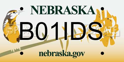 B01IDS Nebraska License Plate