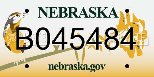 B045484 Nebraska License Plate