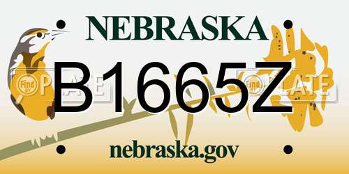 B1665Z Nebraska License Plate