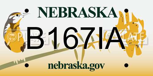 B167IA Nebraska License Plate