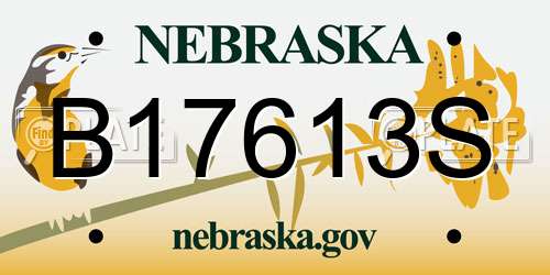 B17613S Nebraska License Plate