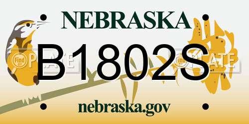 B1802S Nebraska License Plate