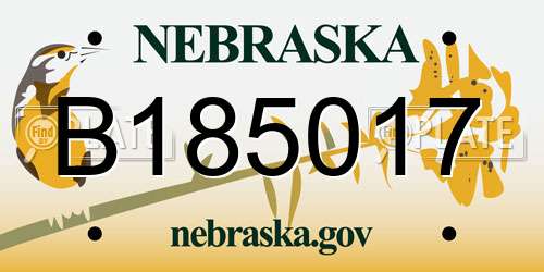 B185017 Nebraska License Plate