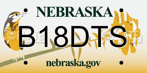 B18DTS Nebraska License Plate