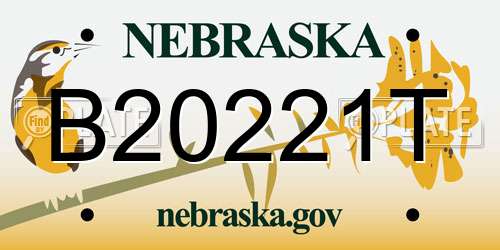 B20221T Nebraska License Plate