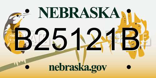 B25121B Nebraska License Plate