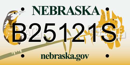 B25121S Nebraska License Plate