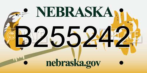 B255242 Nebraska License Plate