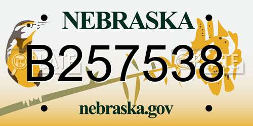 B257538 Nebraska License Plate