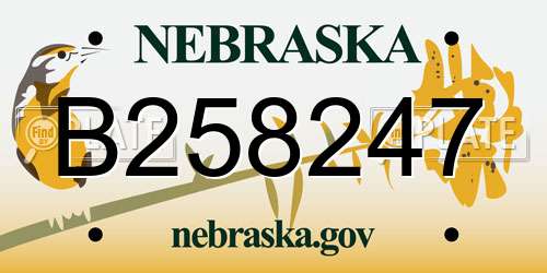 B258247 Nebraska License Plate