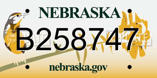 B258747 Nebraska License Plate