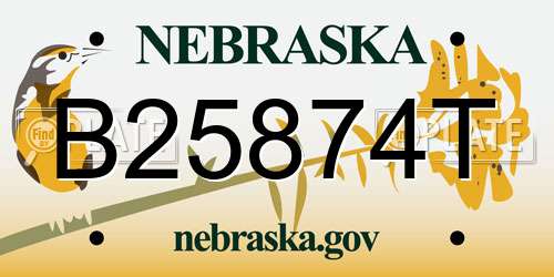 B25874T Nebraska License Plate